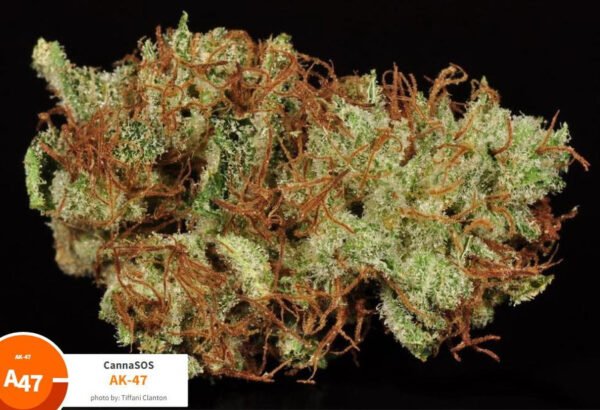 Buy Ak47 weed online