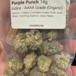 Buy Purple punch strain online