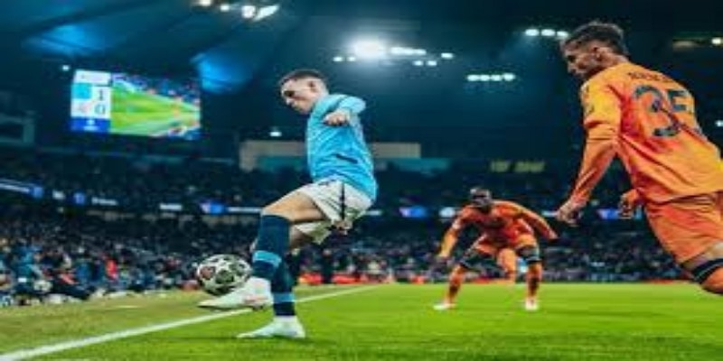 差异化选择与潜在黑马 - 开云体育