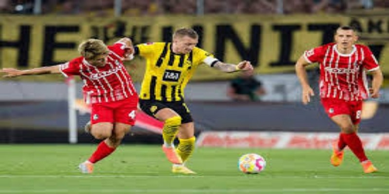 专家观点与未来展望：开云体育总结多特蒙德的中场新篇章-开云体育