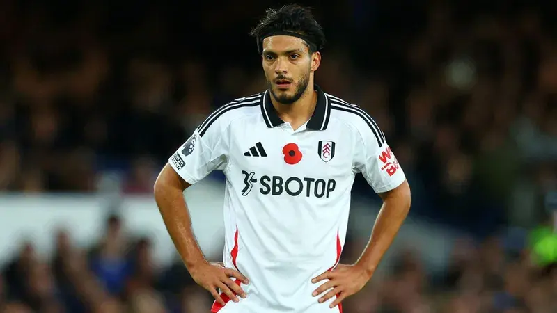 劳尔·希门尼斯的荣誉与重要比赛